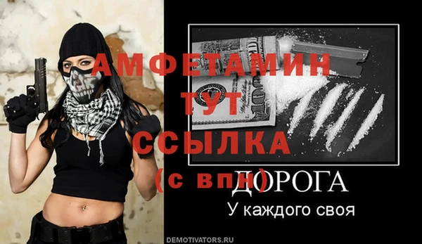 сатива Алзамай