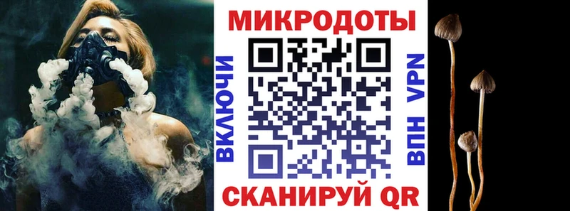 кракен зеркало  Солигалич  Псилоцибиновые грибы мицелий 